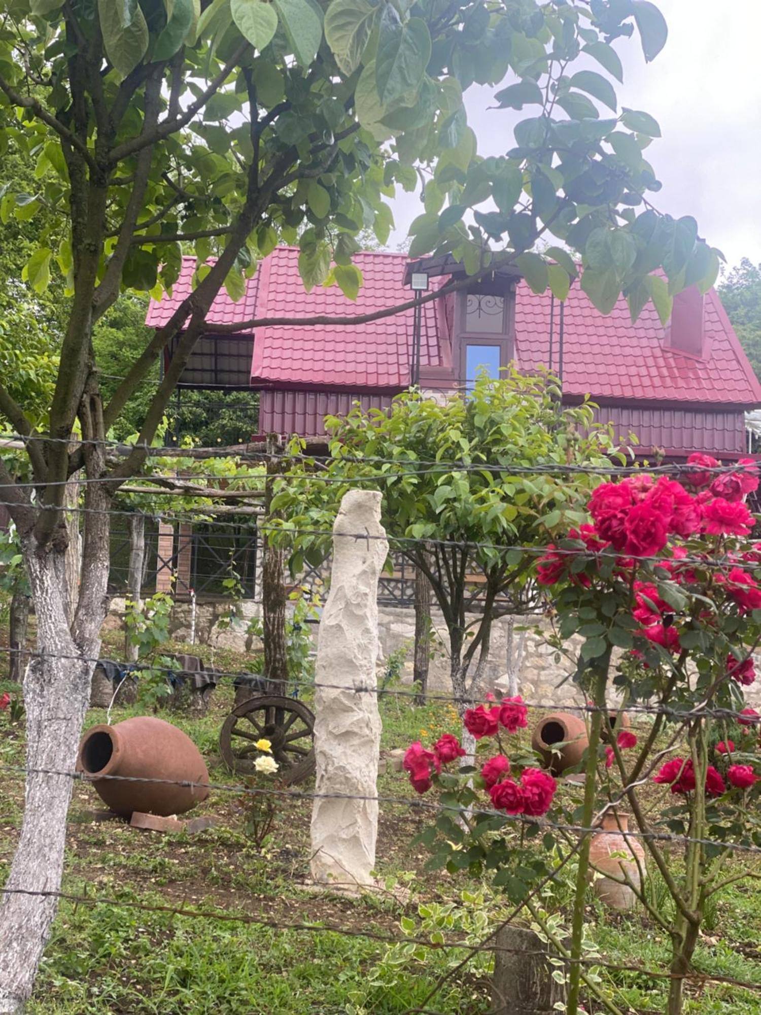 Hotel Kirta Gordi Exteriér fotografie